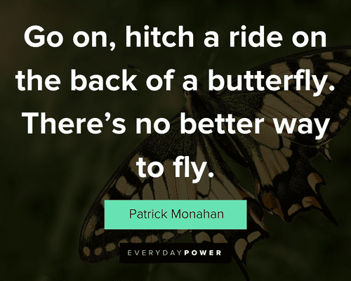 butterfly flying away quotes