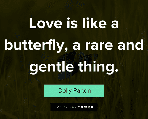 butterfly quotes about love is like a butterfly, a rare and gentle thing