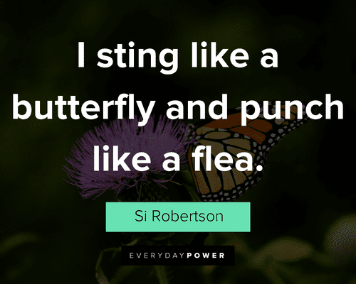 butterfly quotes about I sting like a butterfly and punch like a flea