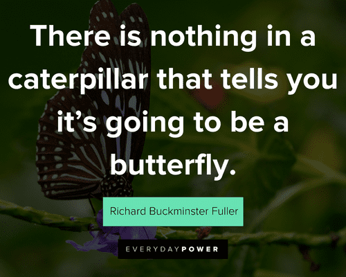 butterfly quotes about there is nothing in a caterpillar that tells you it's going to be a butterfly