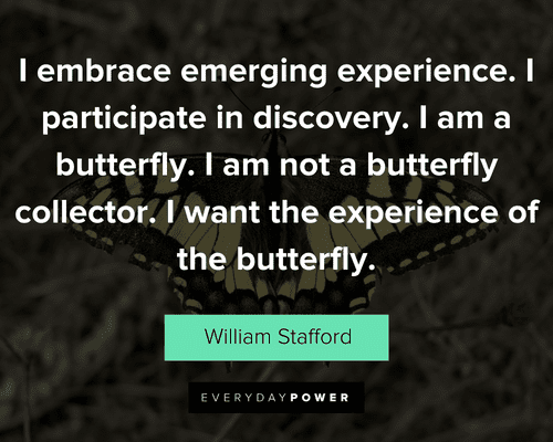 butterfly quotes about I want the experience of the butterfly