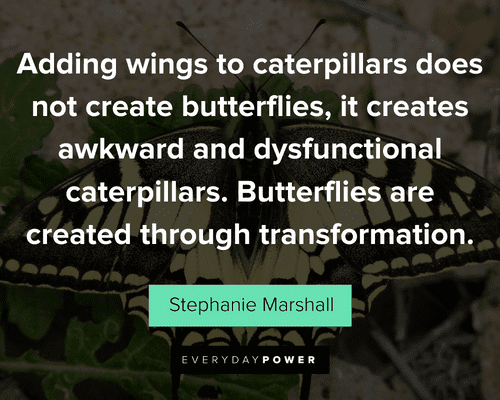 butterfly quotes about adding wings to caterpillars does not create butterflies