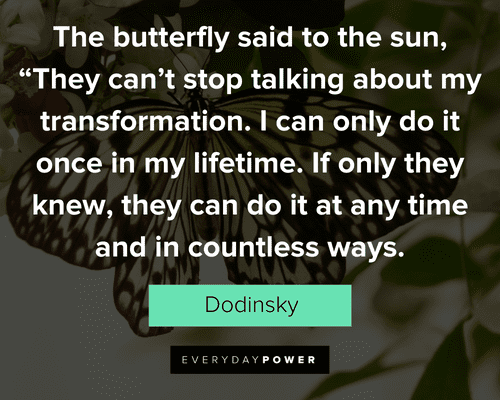 butterfly quotes about I can only do it once in my lifetime