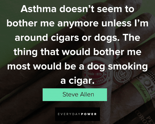Cigar quotes from Steve Allen