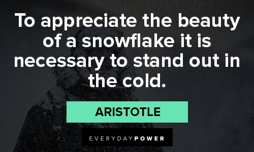 december quotes about To appreciate the beauty of a snowflake