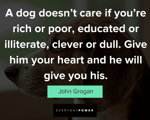 inspirational dog quotes