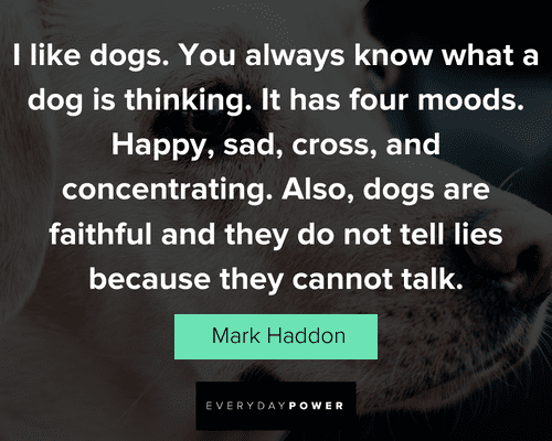 other dog quotes