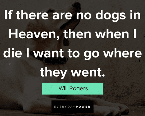dog quotes from Will Rogers