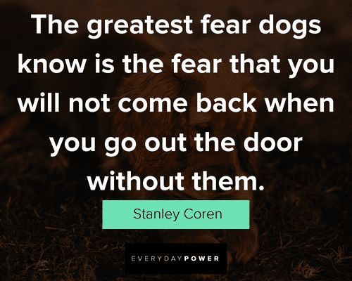 dog quotes about the greatest fear dogs