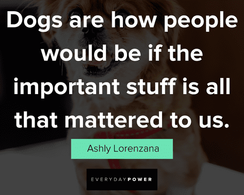 dog quotes that mattered to us