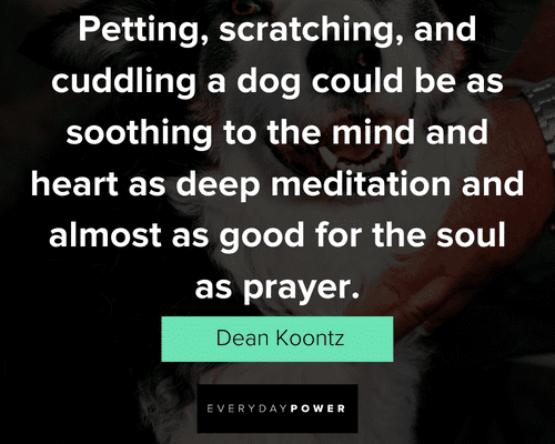 dog quotes on petting , scratching and cuddling