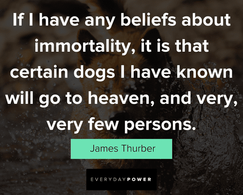 dog quotes from James Thurber