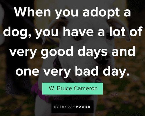 dog quotes about very good days