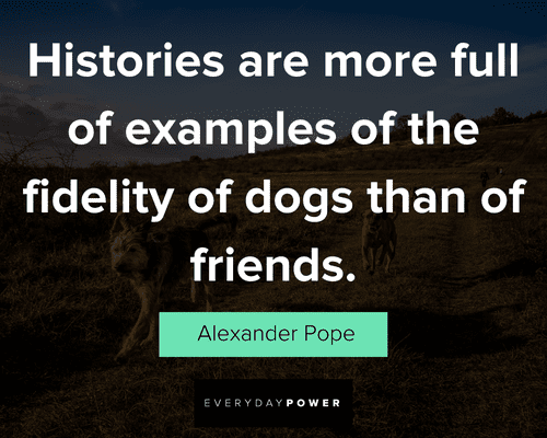 dog quotes on Histories are more full of examples of the fidelity of dogs than of friends