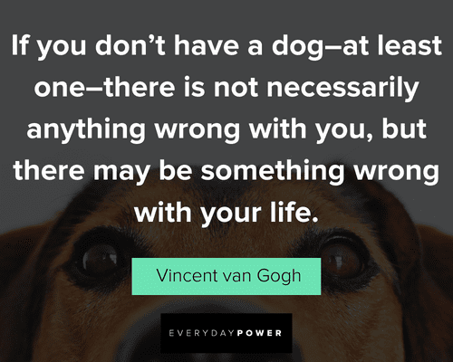 dog quotes about something wrong with your life