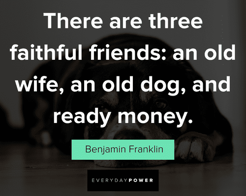 dog quotes to celebrate a special kind of love