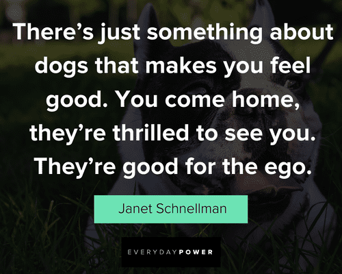 dog quotes about dogs that makes you feel good
