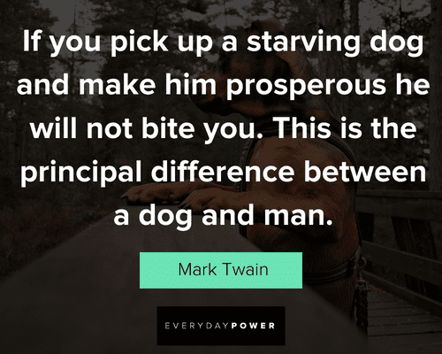 dog quotes about starving dog