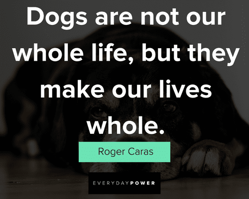 dog quotes about life
