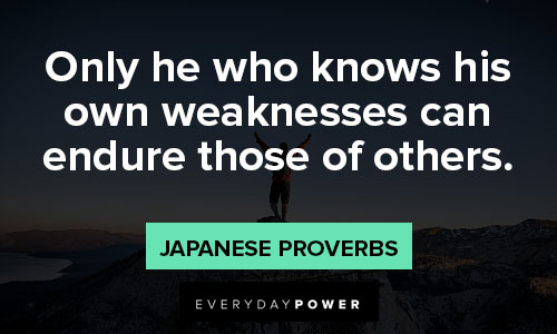 endurance quotes about only he who knows his own weaknesses can endure those of others