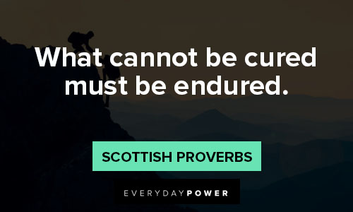 endurance quotes about what cannot be cured must be endured