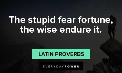 endurance quotes about the stupid fear fortune, the wise endure it