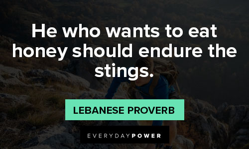 endurance quotes about he who wants to eat honey should endure the stings