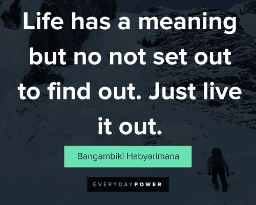 experience quotes on life has a meaning