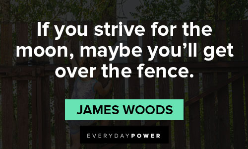 fence quotes about strive for the moon