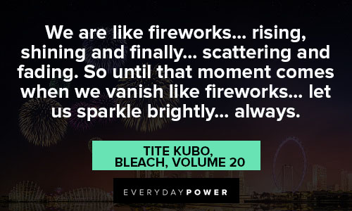fireworks quotes that moment comes when we vanish like fireworks