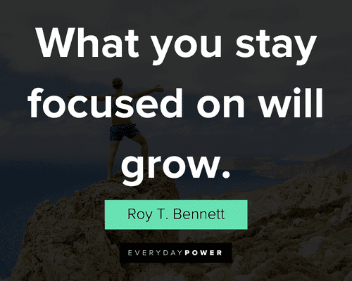 focus quotes about what you stay focused on will grow