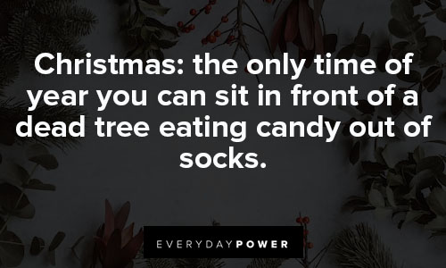 funny christmas quotes about the Christmas