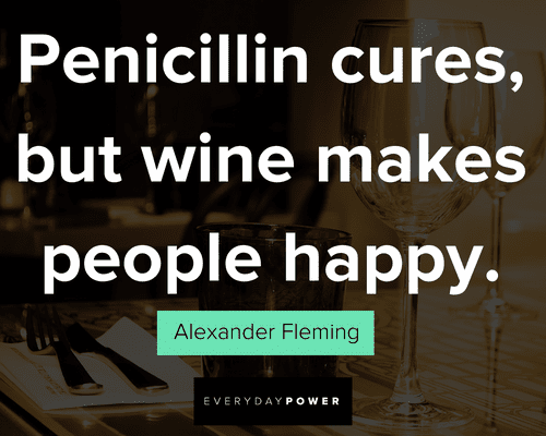 funny wine quotes about happiness