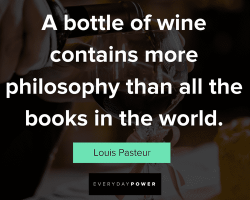 wine quotes about a bottle off wine contains more philosophy