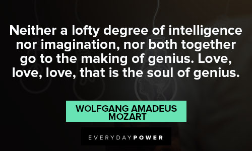 genius quotes of intelligence nor imagination