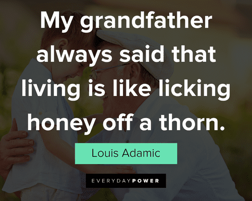 grandpa quotes about my grandfather always said that living is like licking honey off a thorn