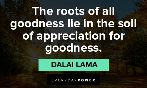 gratitude quotes about the roots of all goodness lie in the soil of appreciation for goodness