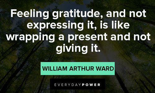 gratitude quotes about feeling gratitude
