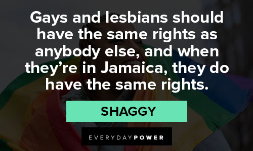Jamaica quotes about gays and lesbians should have the same rights as anybody else