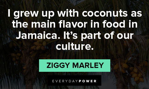 Jamaica quotes about it's part of our culture