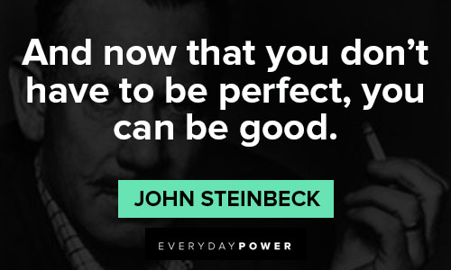 John Steinbeck quotes that you don't have to be perfect, you can be good