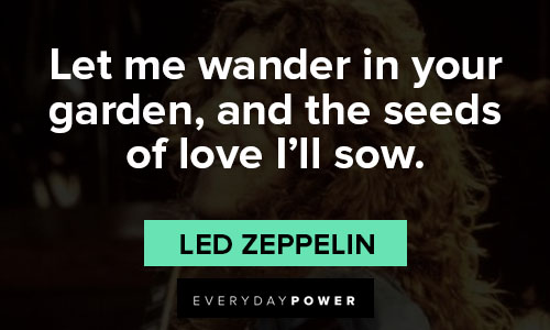 Led Zeppelin quotes about let me wander in your garden, and the seeds of love I'll sow