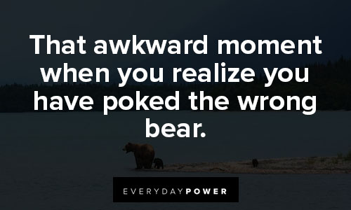 mama bear quotes that awkward moment when you realize you have poked the wrong bear