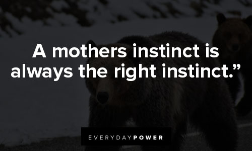 mama bear quotes about a mothers instinct is always the right instinct