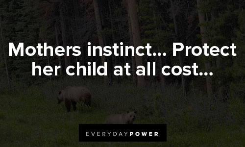 mama bear quotes about mothers instinct… Protect her child at all cost