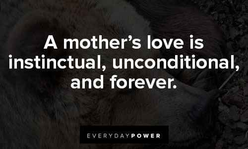 mama bear quotes about a mother's love is instinctual, unconditional, and forever