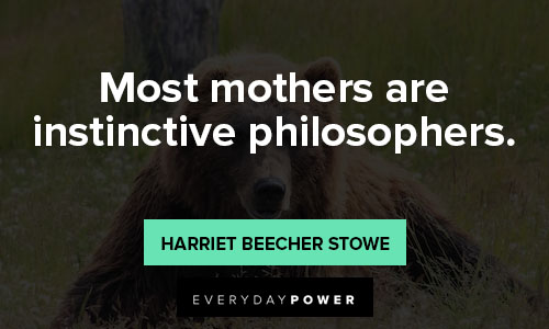 mama bear quotes about most mothers are instinctive philosophers