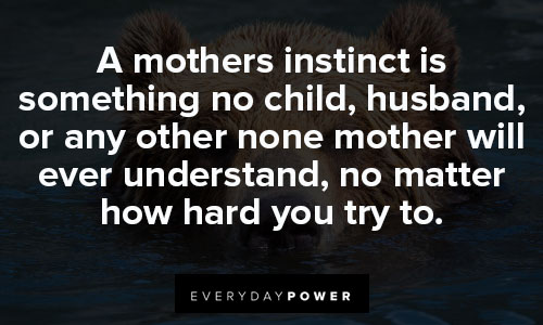 mama bear quotes about a mothers instinct is something no child