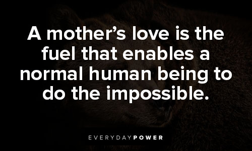 mama bear quotes about a mother's love is the fuel that enables a normal human being to do the impossible