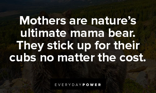mama bear quotes about mothers are nature’s ultimate mama bear. They stick up for their cubs no matter the cost